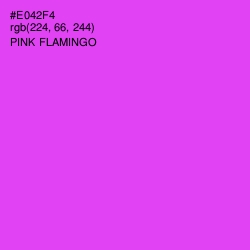 #E042F4 - Pink Flamingo Color Image