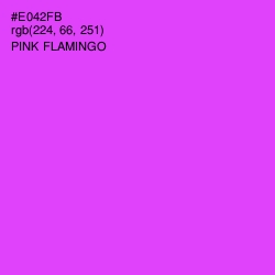 #E042FB - Pink Flamingo Color Image