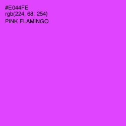 #E044FE - Pink Flamingo Color Image