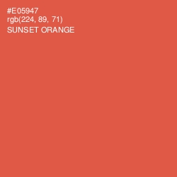 #E05947 - Sunset Orange Color Image