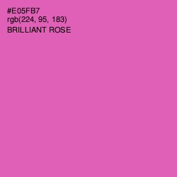 #E05FB7 - Brilliant Rose Color Image