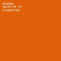 #E0600A - Clementine Color Image