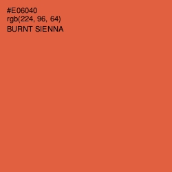 #E06040 - Burnt Sienna Color Image