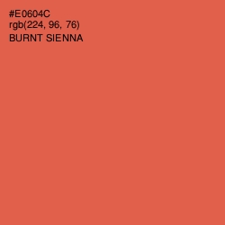 #E0604C - Burnt Sienna Color Image