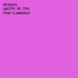 #E060E0 - Pink Flamingo Color Image