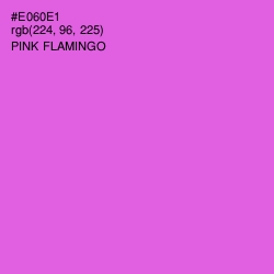 #E060E1 - Pink Flamingo Color Image