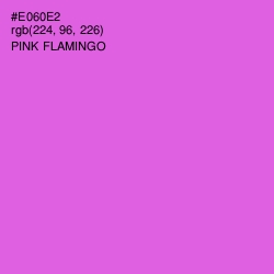 #E060E2 - Pink Flamingo Color Image