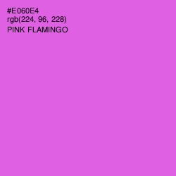 #E060E4 - Pink Flamingo Color Image