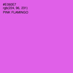 #E060E7 - Pink Flamingo Color Image