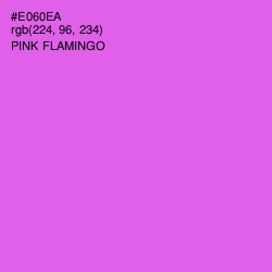 #E060EA - Pink Flamingo Color Image