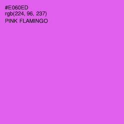 #E060ED - Pink Flamingo Color Image