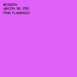#E060FA - Pink Flamingo Color Image