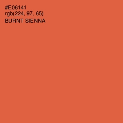 #E06141 - Burnt Sienna Color Image