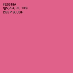 #E0618A - Deep Blush Color Image
