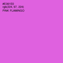 #E061E0 - Pink Flamingo Color Image