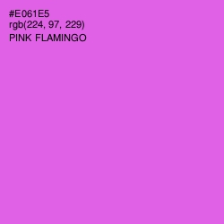 #E061E5 - Pink Flamingo Color Image