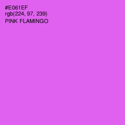 #E061EF - Pink Flamingo Color Image