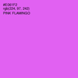 #E061F2 - Pink Flamingo Color Image