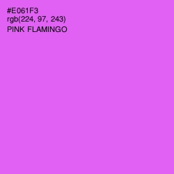 #E061F3 - Pink Flamingo Color Image