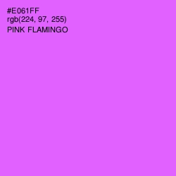 #E061FF - Pink Flamingo Color Image