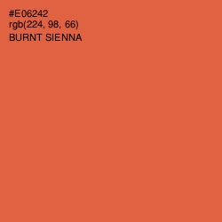 #E06242 - Burnt Sienna Color Image