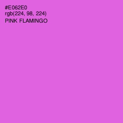 #E062E0 - Pink Flamingo Color Image