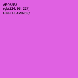 #E062E3 - Pink Flamingo Color Image