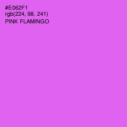 #E062F1 - Pink Flamingo Color Image