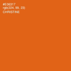 #E06317 - Christine Color Image