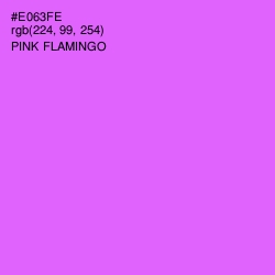 #E063FE - Pink Flamingo Color Image