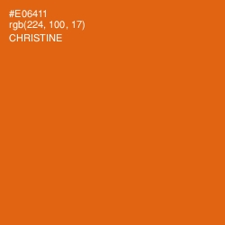 #E06411 - Christine Color Image