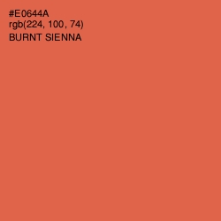 #E0644A - Burnt Sienna Color Image