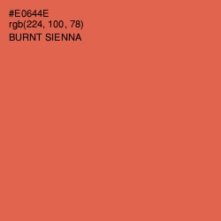 #E0644E - Burnt Sienna Color Image