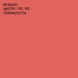 #E0645D - Terracotta Color Image