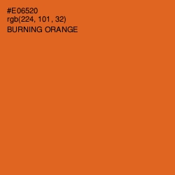 #E06520 - Burning Orange Color Image