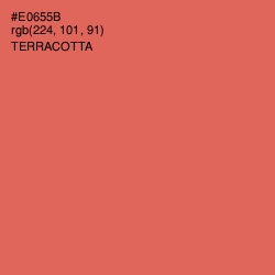 #E0655B - Terracotta Color Image