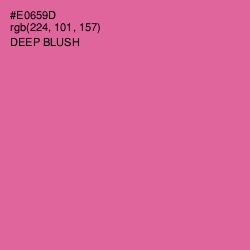 #E0659D - Deep Blush Color Image