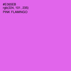 #E065EB - Pink Flamingo Color Image