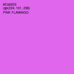 #E065EE - Pink Flamingo Color Image