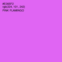 #E065F2 - Pink Flamingo Color Image