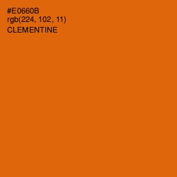 #E0660B - Clementine Color Image