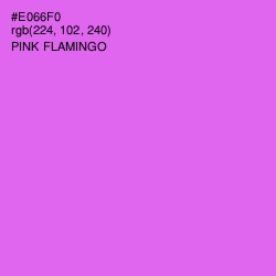 #E066F0 - Pink Flamingo Color Image