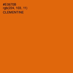 #E0670B - Clementine Color Image