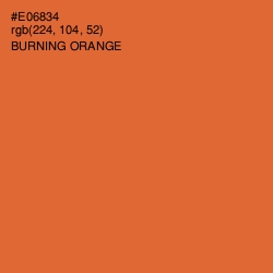 #E06834 - Burning Orange Color Image