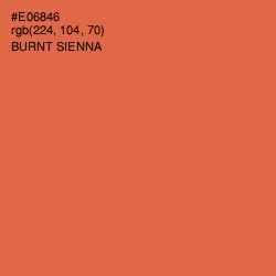 #E06846 - Burnt Sienna Color Image