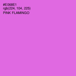 #E068E1 - Pink Flamingo Color Image