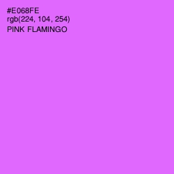 #E068FE - Pink Flamingo Color Image