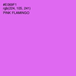 #E069F1 - Pink Flamingo Color Image