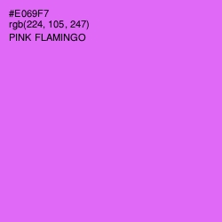 #E069F7 - Pink Flamingo Color Image