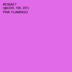 #E06AE7 - Pink Flamingo Color Image